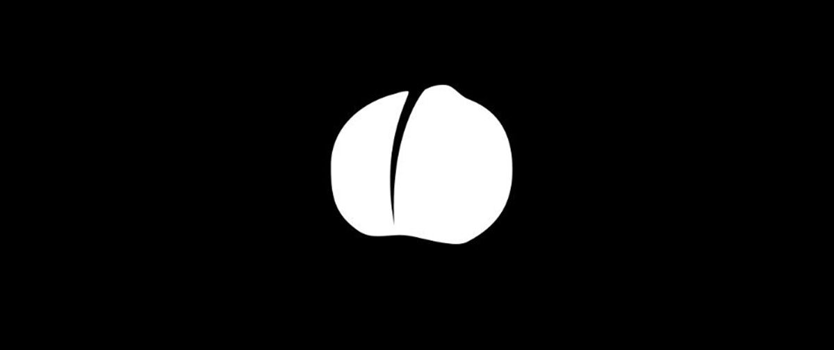 macadamia Wallet image