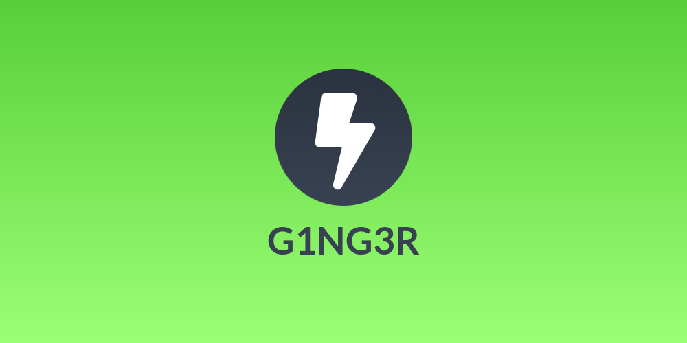 G1NG3R