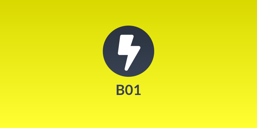 B01