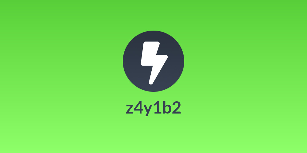 z4y1b2