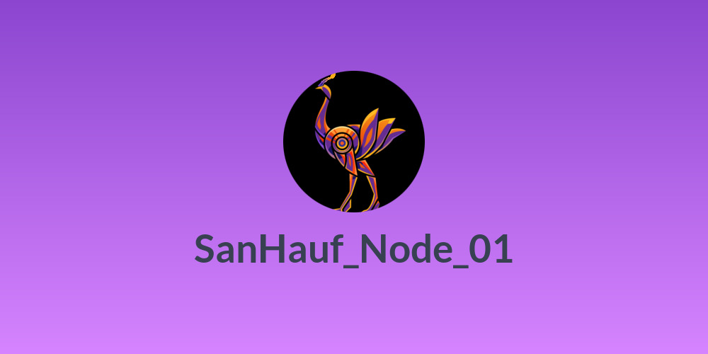 SanHauf_Node_01