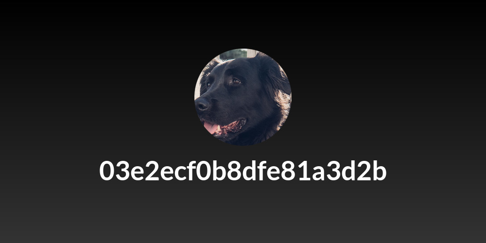 03e2ecf0b8dfe81a3d2b