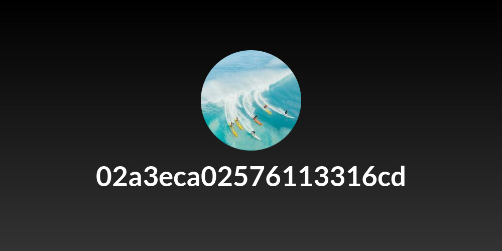02a3eca02576113316cd