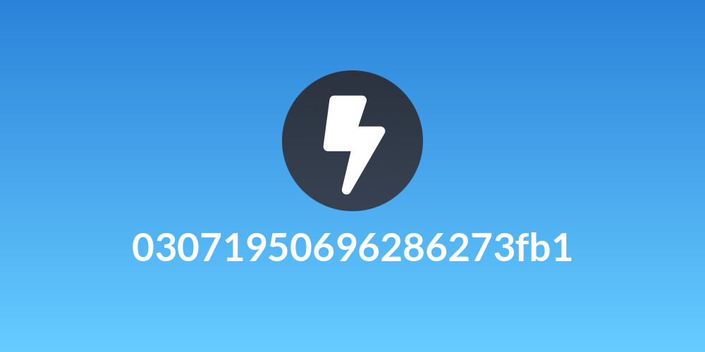 03071950696286273fb1