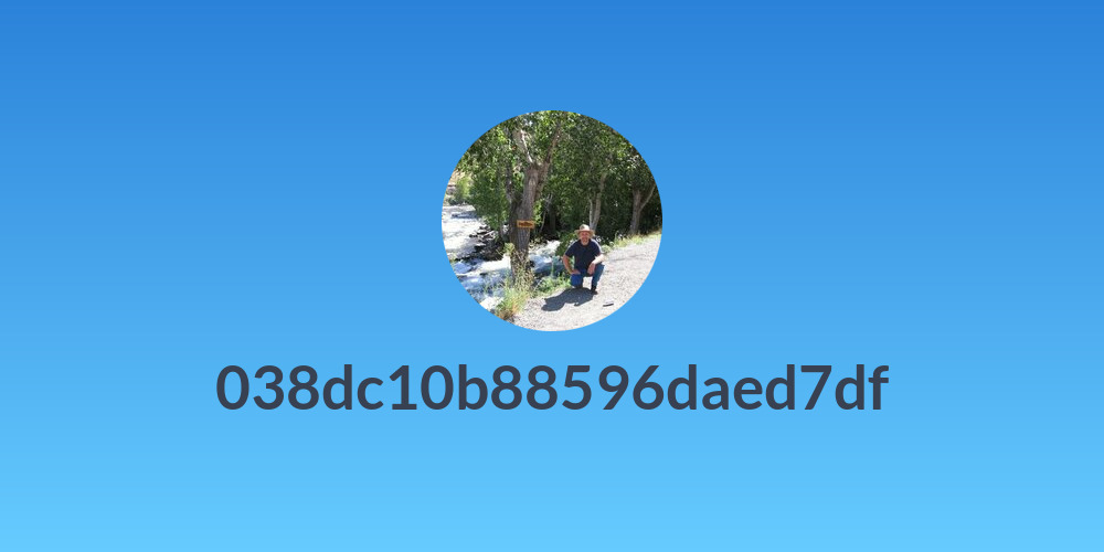 038dc10b88596daed7df