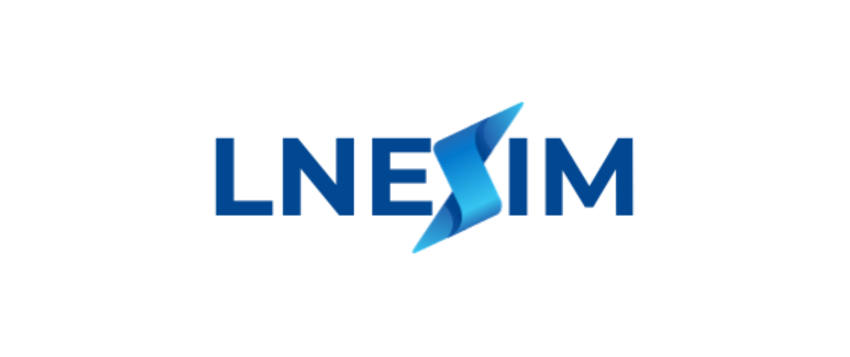 LNeSIM image