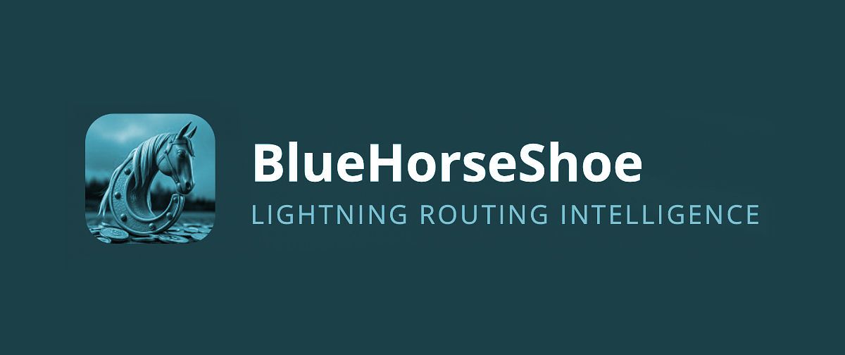 BlueHorseShoe image