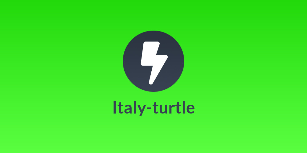 🐢Italy-turtle⚡