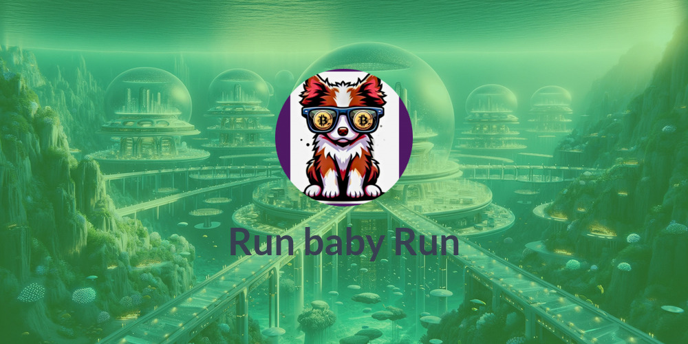 Run baby Run