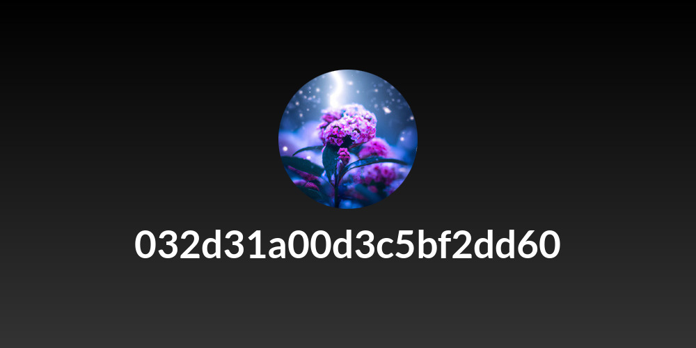 032d31a00d3c5bf2dd60