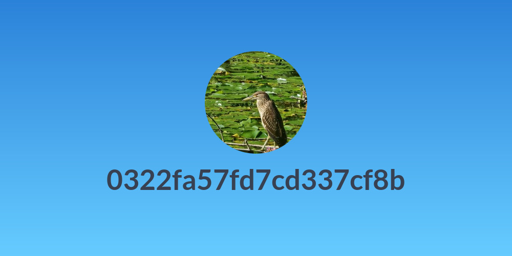 0322fa57fd7cd337cf8b