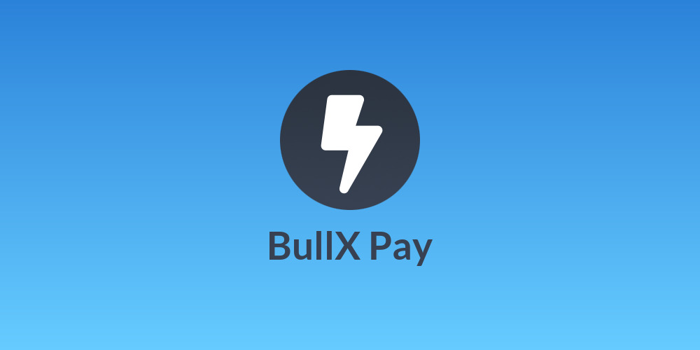 BullX Pay