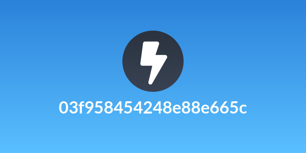 03f958454248e88e665c