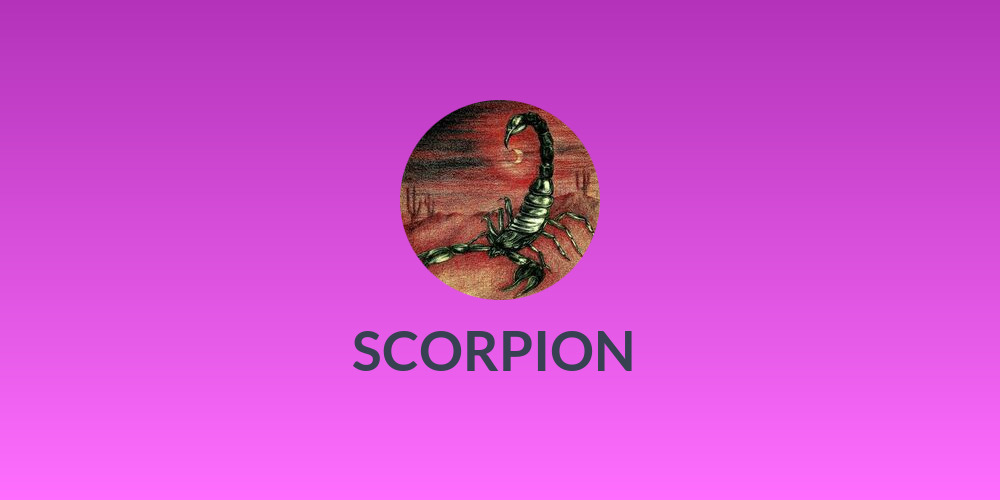 SCORPION 🦂