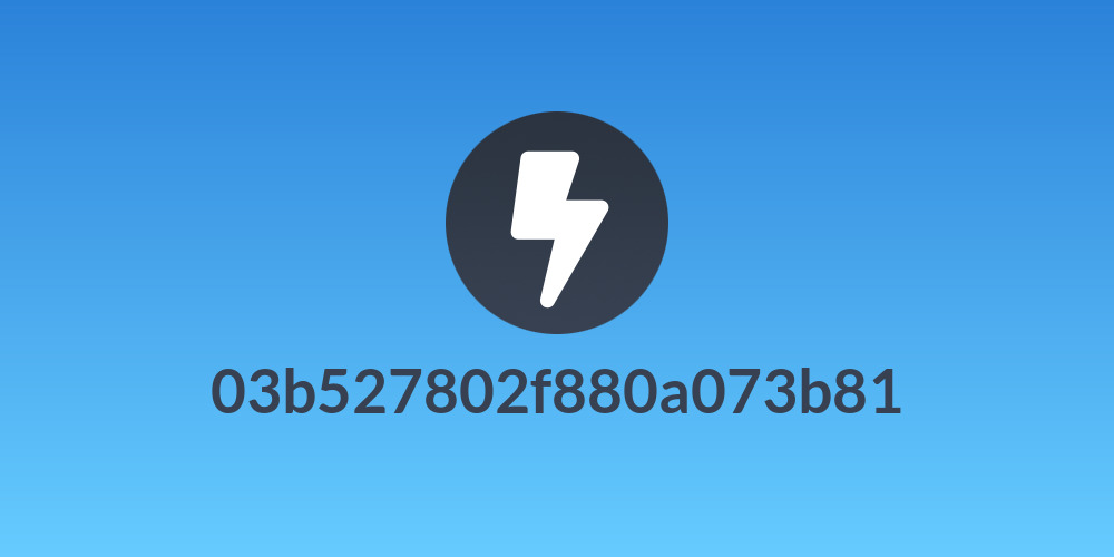 03b527802f880a073b81
